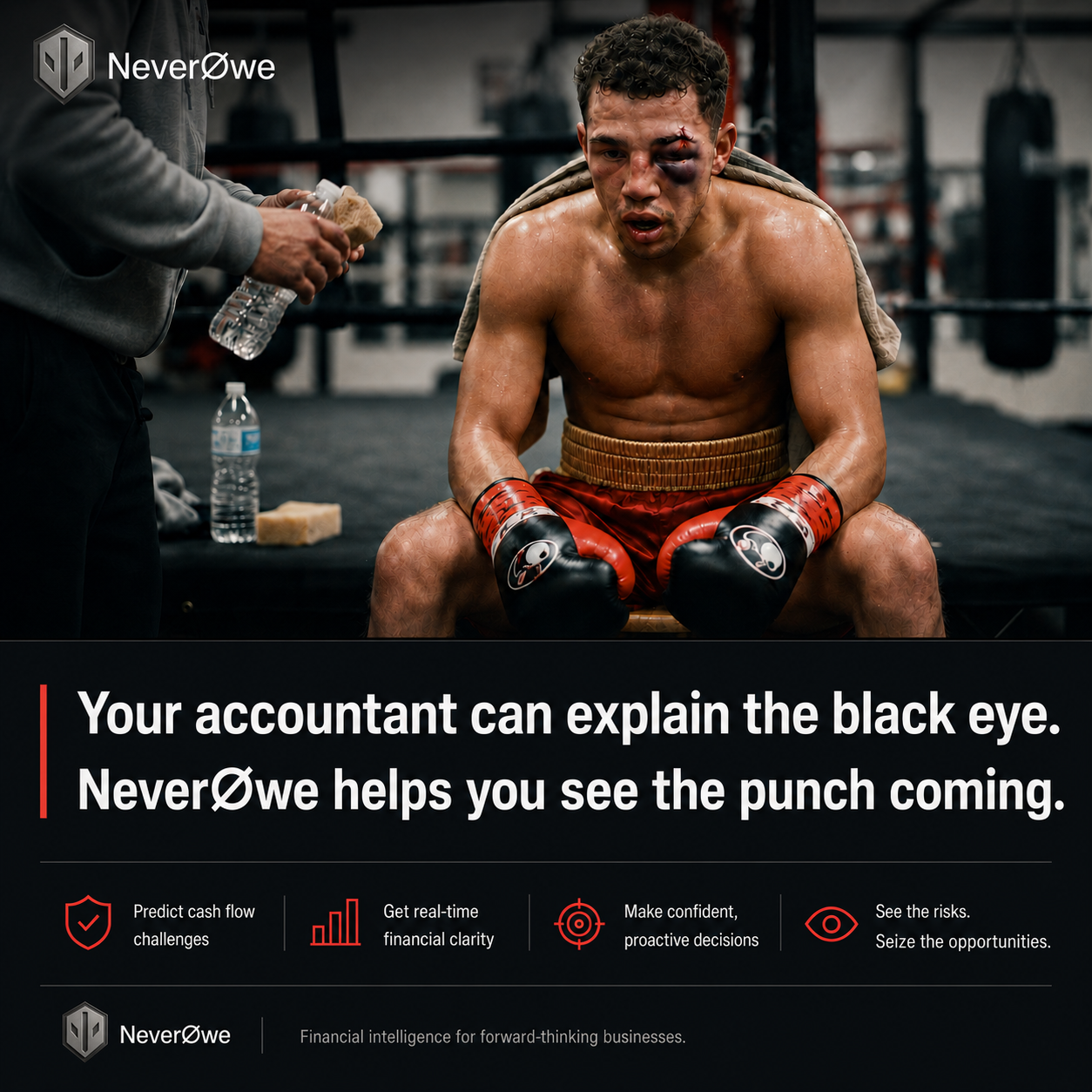 Your accountant can explain the black eye. NeverØwe helps you see the punch coming.